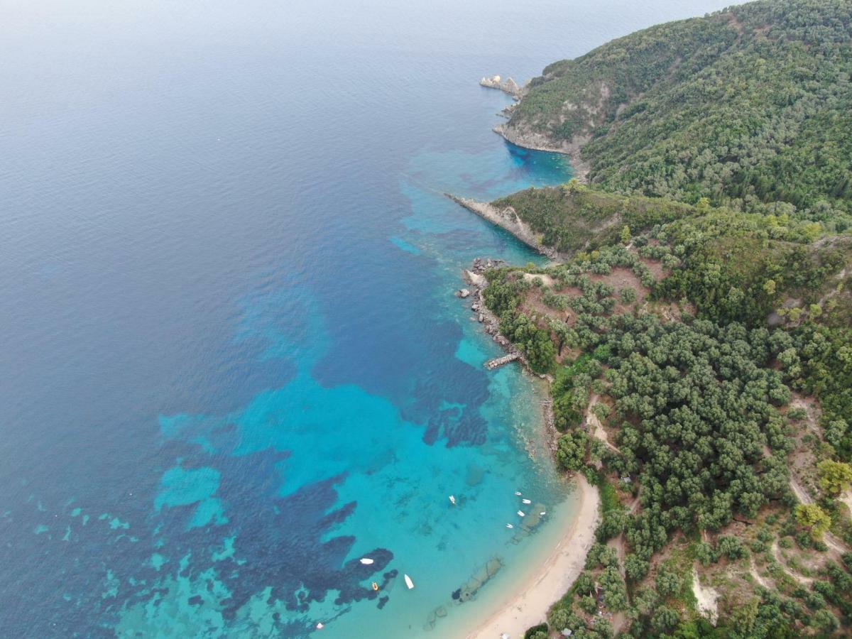 Dolphin Apartments 1 Πάργα Εξωτερικό φωτογραφία